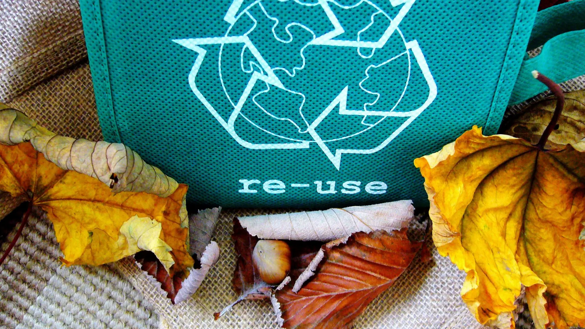 Entrümpelungsfirma Zürich